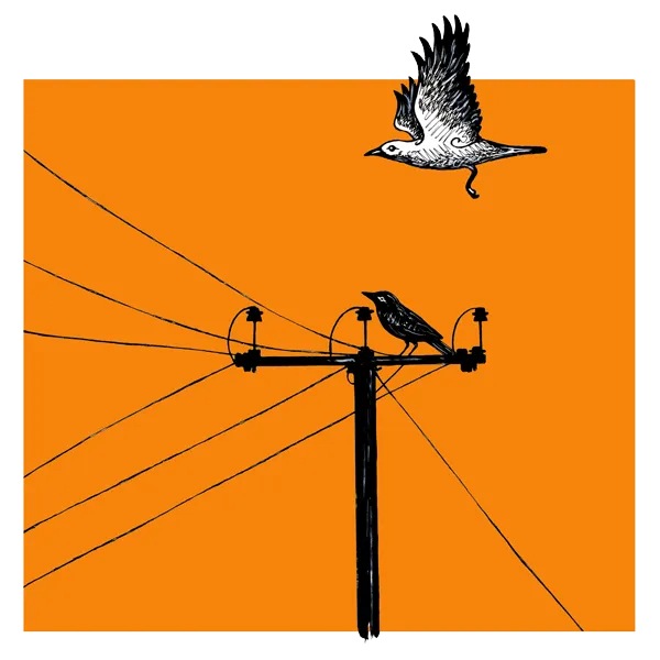 Banish the Crows - Illustration