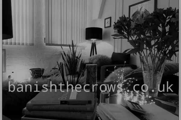 crows room (2)